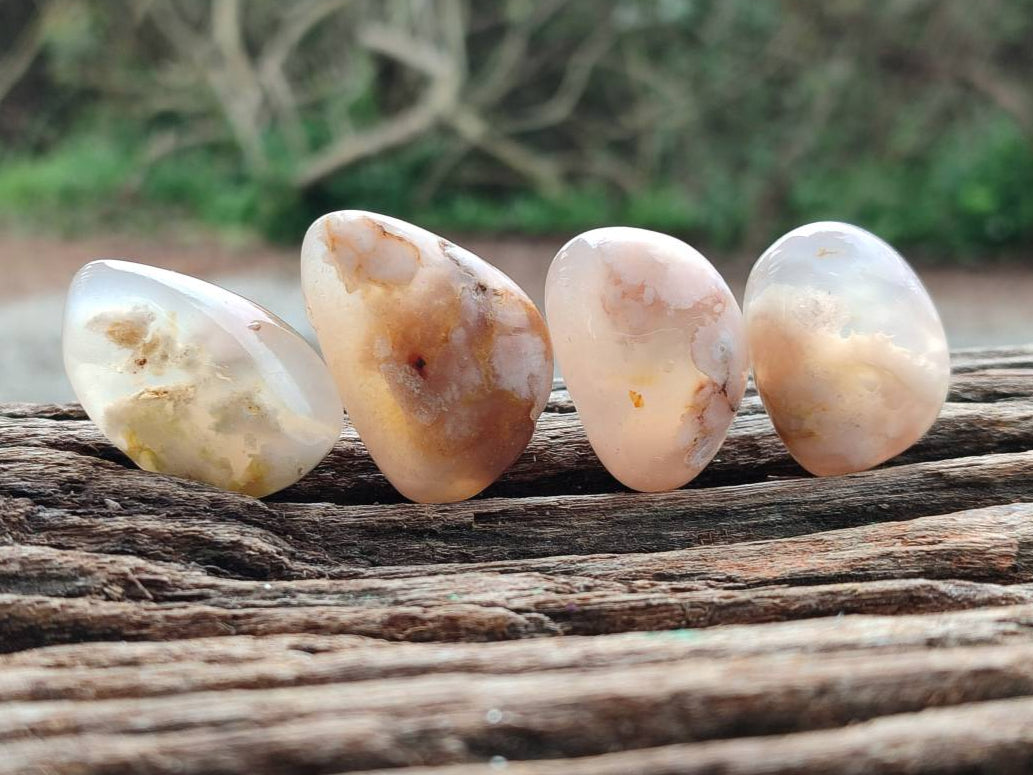 Polished Flower Agate Free Forms x 70 From Antsahalova, Madagascar - Toprock Gemstones and Minerals 