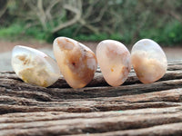 Polished Flower Agate Free Forms x 70 From Antsahalova, Madagascar
