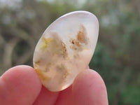 Polished Flower Agate Free Forms x 70 From Antsahalova, Madagascar