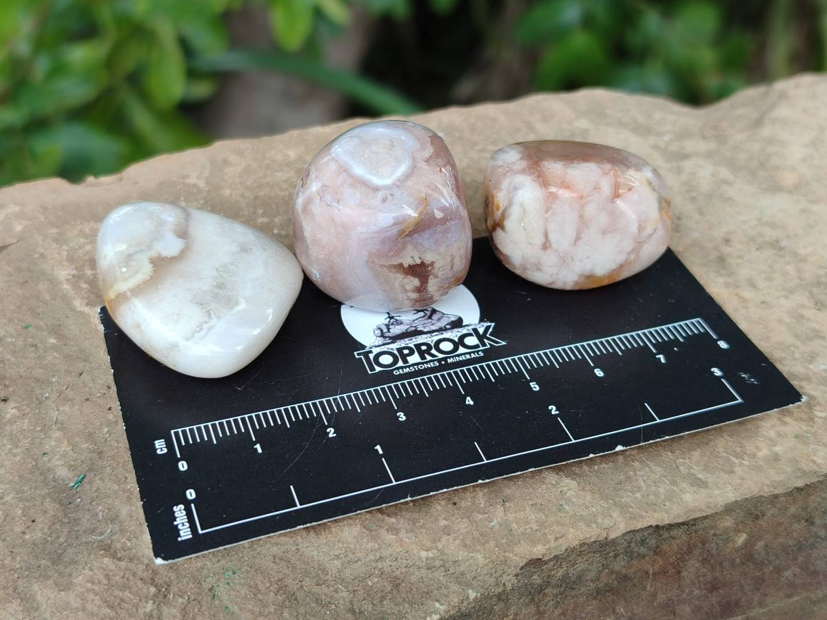 Polished Flower Agate Free Forms x 70 From Antsahalova, Madagascar - Toprock Gemstones and Minerals 