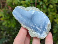 Natural Blue Lace Agate Geode Specimens x 6 From Nsanje, Malawi
