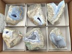 Natural Blue Lace Agate Geode Specimens x 6 From Nsanje, Malawi - Toprock Gemstones and Minerals 