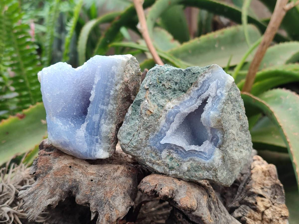 Natural Blue Lace Agate Geode Specimens x 6 From Nsanje, Malawi - Toprock Gemstones and Minerals 