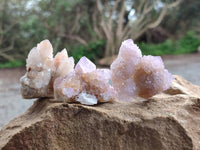 Natural Amethyst Spirit Quartz Clusters x 35 From Boekenhouthoek, South Africa