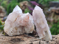 Natural Amethyst Spirit Quartz Clusters x 35 From Boekenhouthoek, South Africa