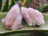 Natural Amethyst Spirit Quartz Clusters x 35 From Boekenhouthoek, South Africa