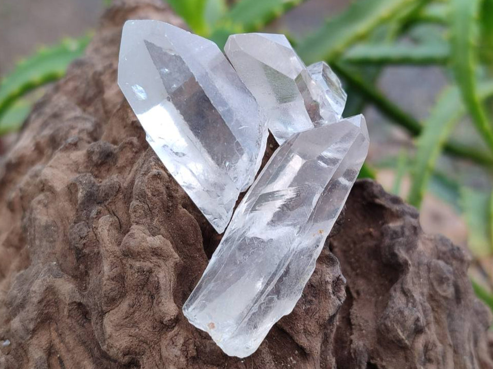 Natural Mine Run Quartz Crystals x 2.75 Kg Lot From Madagascar - Toprock Gemstones and Minerals 