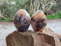 Polished Dendritic Agate Standing Free Forms x 3 From Moralambo, Madagascar - Toprock Gemstones and Minerals 