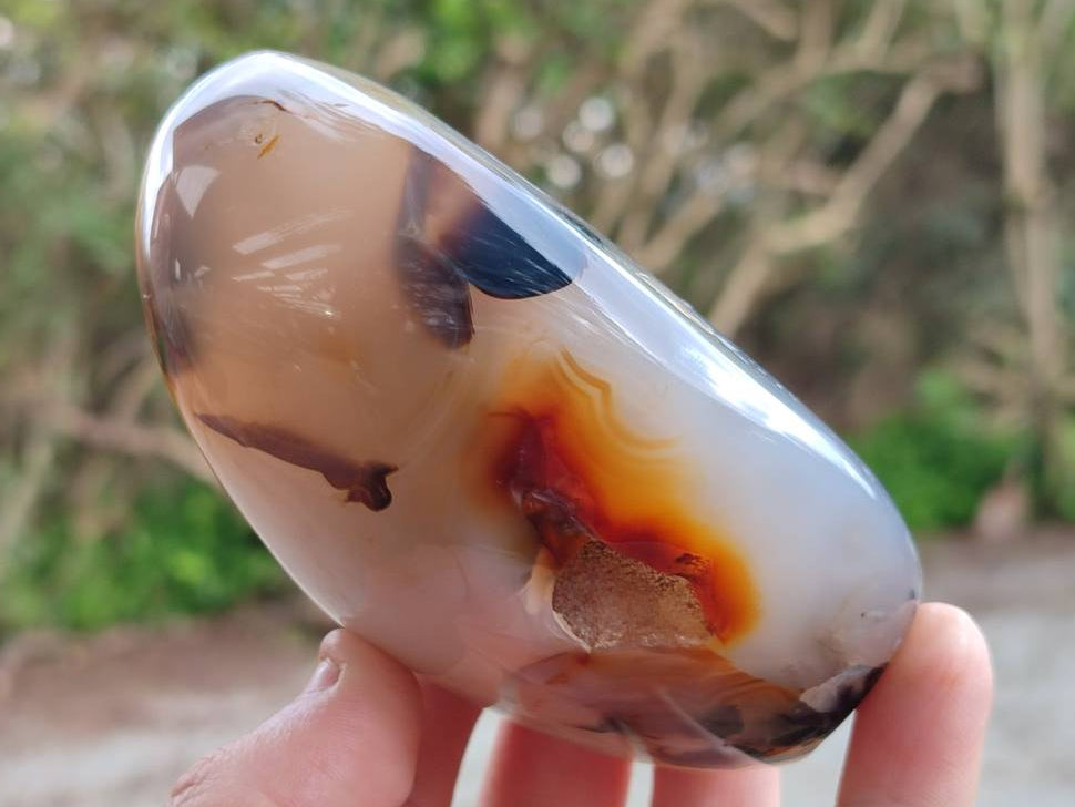 Polished Dendritic Agate Standing Free Forms x 3 From Moralambo, Madagascar - Toprock Gemstones and Minerals 