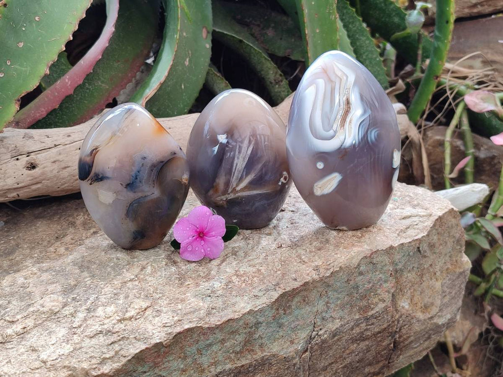 Polished Dendritic Agate Standing Free Forms x 3 From Moralambo, Madagascar - Toprock Gemstones and Minerals 