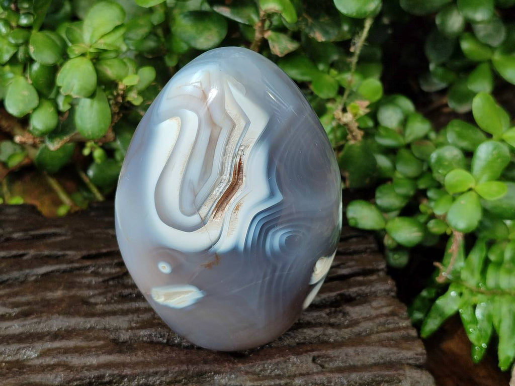 Polished Dendritic Agate Standing Free Forms x 3 From Moralambo, Madagascar - Toprock Gemstones and Minerals 