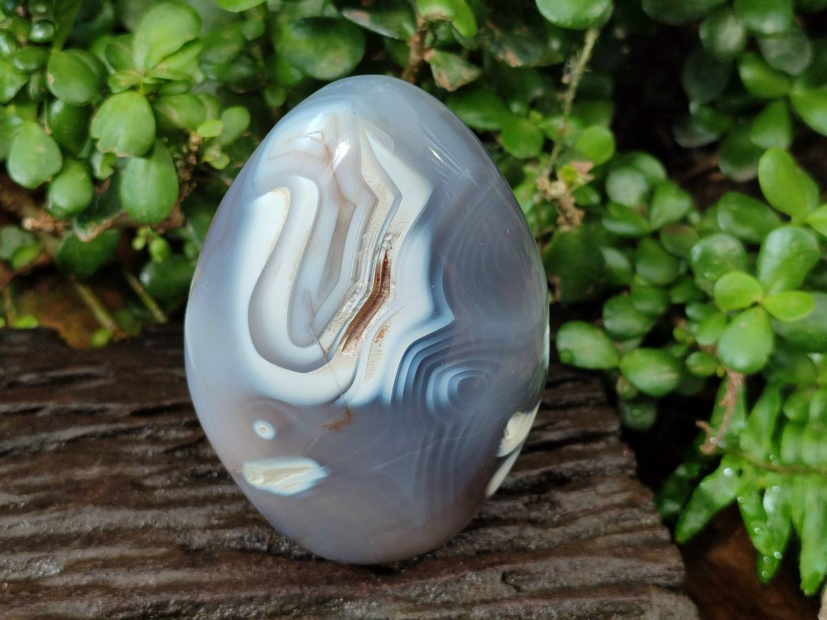 Polished Dendritic Agate Standing Free Forms x 3 From Moralambo, Madagascar - Toprock Gemstones and Minerals 