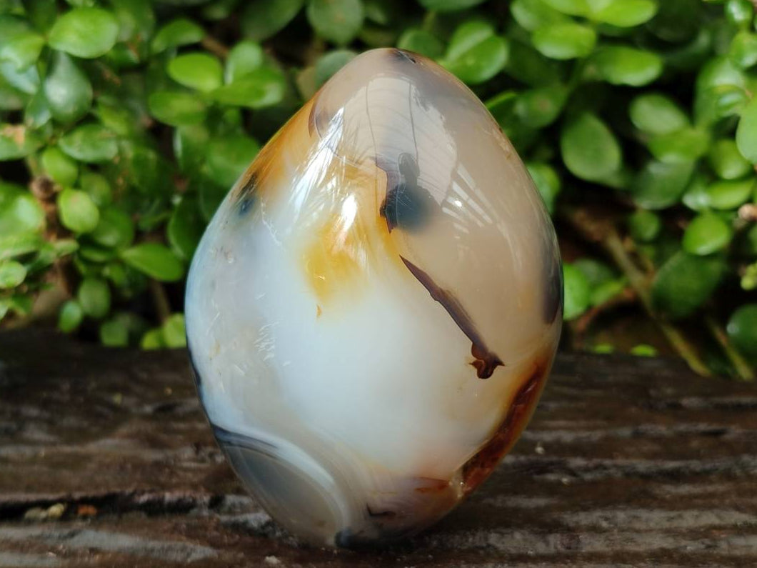 Polished Dendritic Agate Standing Free Forms x 3 From Moralambo, Madagascar - Toprock Gemstones and Minerals 
