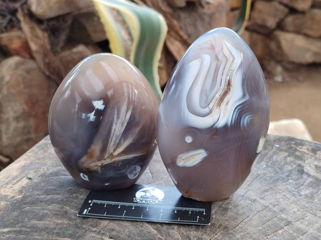 Polished Dendritic Agate Standing Free Forms x 3 From Moralambo, Madagascar - Toprock Gemstones and Minerals 
