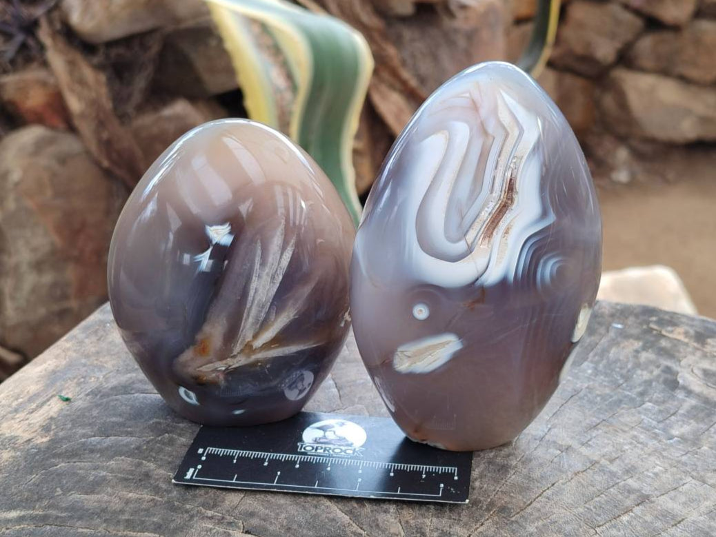 Polished Dendritic Agate Standing Free Forms x 3 From Moralambo, Madagascar - Toprock Gemstones and Minerals 