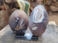 Polished Dendritic Agate Standing Free Forms x 3 From Moralambo, Madagascar - Toprock Gemstones and Minerals 