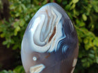 Polished Dendritic Agate Standing Free Forms x 3 From Moralambo, Madagascar - Toprock Gemstones and Minerals 