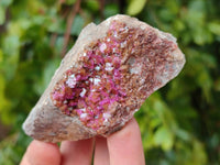 Natural Salrose Cobaltion Dolomite Specimens x 12 From Kakanda, Congo