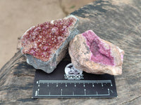 Natural Salrose Cobaltion Dolomite Specimens x 12 From Kakanda, Congo