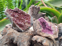 Natural Salrose Cobaltion Dolomite Specimens x 12 From Kakanda, Congo