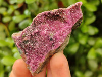 Natural Salrose Cobaltion Dolomite Specimens x 12 From Kakanda, Congo