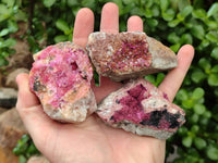 Natural Salrose Cobaltion Dolomite Specimens x 12 From Kakanda, Congo