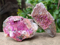 Natural Salrose Cobaltion Dolomite Specimens x 12 From Kakanda, Congo