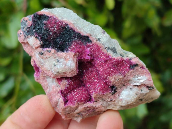 Natural Salrose Cobaltion Dolomite Specimens x 12 From Kakanda, Congo