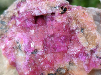 Natural Salrose Cobaltion Dolomite Specimens x 12 From Kakanda, Congo