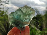Polished On One Side Watermelon Fluorite Slices x 6 From Uis, Namibia