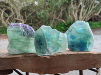 Polished On One Side Watermelon Fluorite Slices x 6 From Uis, Namibia