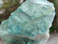 Polished On One Side Watermelon Fluorite Slices x 6 From Uis, Namibia