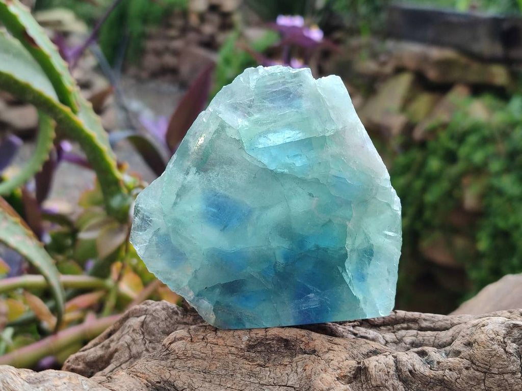 Polished On One Side Watermelon Fluorite Slices x 6 From Uis, Namibia - Toprock Gemstones and Minerals 