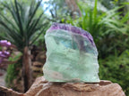 Polished On One Side Watermelon Fluorite Slices x 6 From Uis, Namibia - Toprock Gemstones and Minerals 