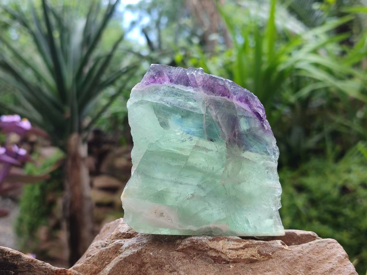 Polished On One Side Watermelon Fluorite Slices x 6 From Uis, Namibia - Toprock Gemstones and Minerals 