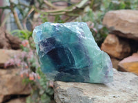 Polished On One Side Watermelon Fluorite Slices x 6 From Uis, Namibia