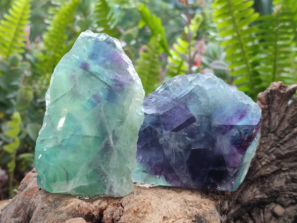 Polished On One Side Watermelon Fluorite Slices x 6 From Uis, Namibia
