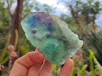 Polished On One Side Watermelon Fluorite Slices x 6 From Uis, Namibia