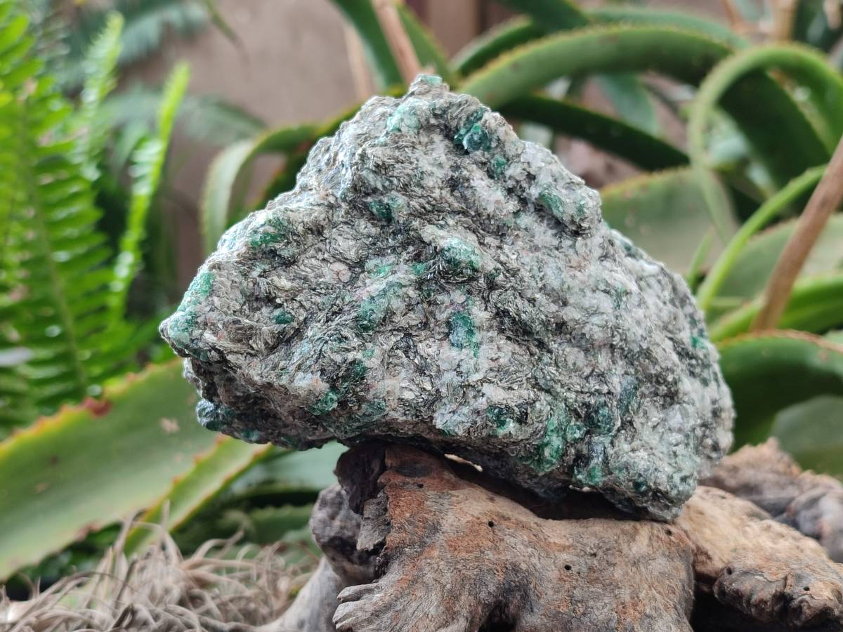 Natural Emerald Mica 'Mutokolite' Cobbed Specimens x 2 From Mutoko, Zimbabwe - Toprock Gemstones and Minerals 