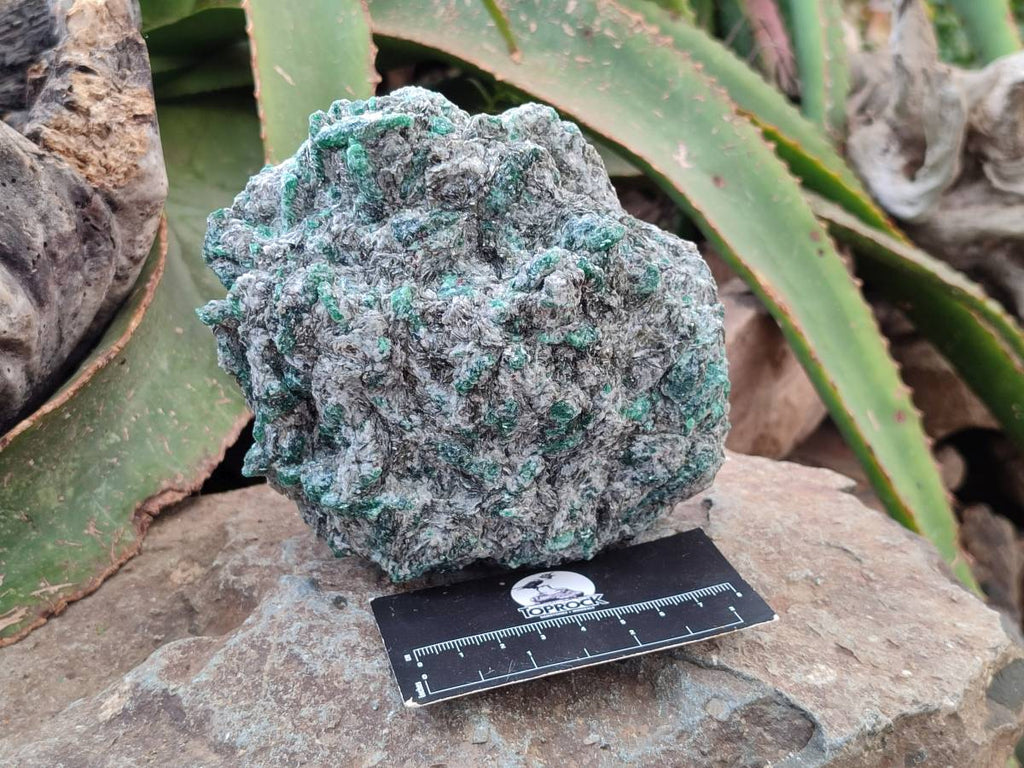 Natural Emerald Mica 'Mutokolite' Cobbed Specimens x 2 From Mutoko, Zimbabwe - Toprock Gemstones and Minerals 