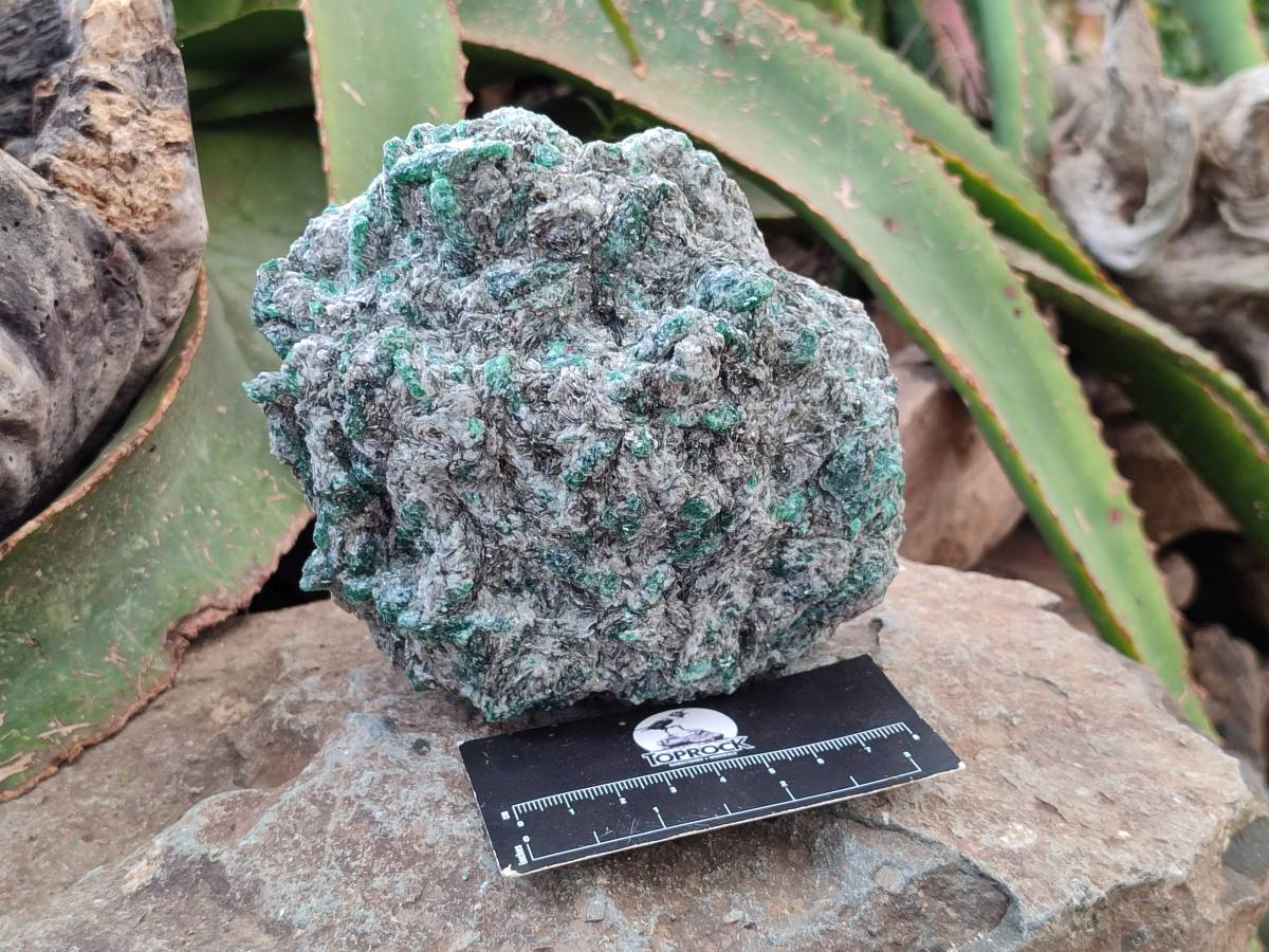 Natural Emerald Mica 'Mutokolite' Cobbed Specimens x 2 From Mutoko, Zimbabwe - Toprock Gemstones and Minerals 