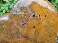 Polished XL Ocean Jasper Heart x 1 From Madagascar