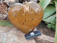 Polished XL Ocean Jasper Heart x 1 From Madagascar