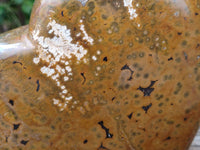 Polished XL Ocean Jasper Heart x 1 From Madagascar