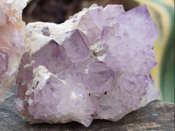 Natural Sunburst Amethyst Spirit Quartz Clusters x 6 From Boekenhouthoek, South Africa - Toprock Gemstones and Minerals 