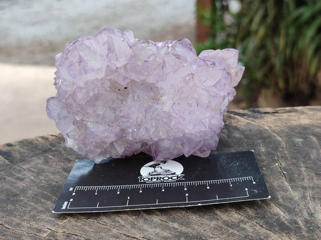 Natural Sunburst Amethyst Spirit Quartz Clusters x 6 From Boekenhouthoek, South Africa - Toprock Gemstones and Minerals 