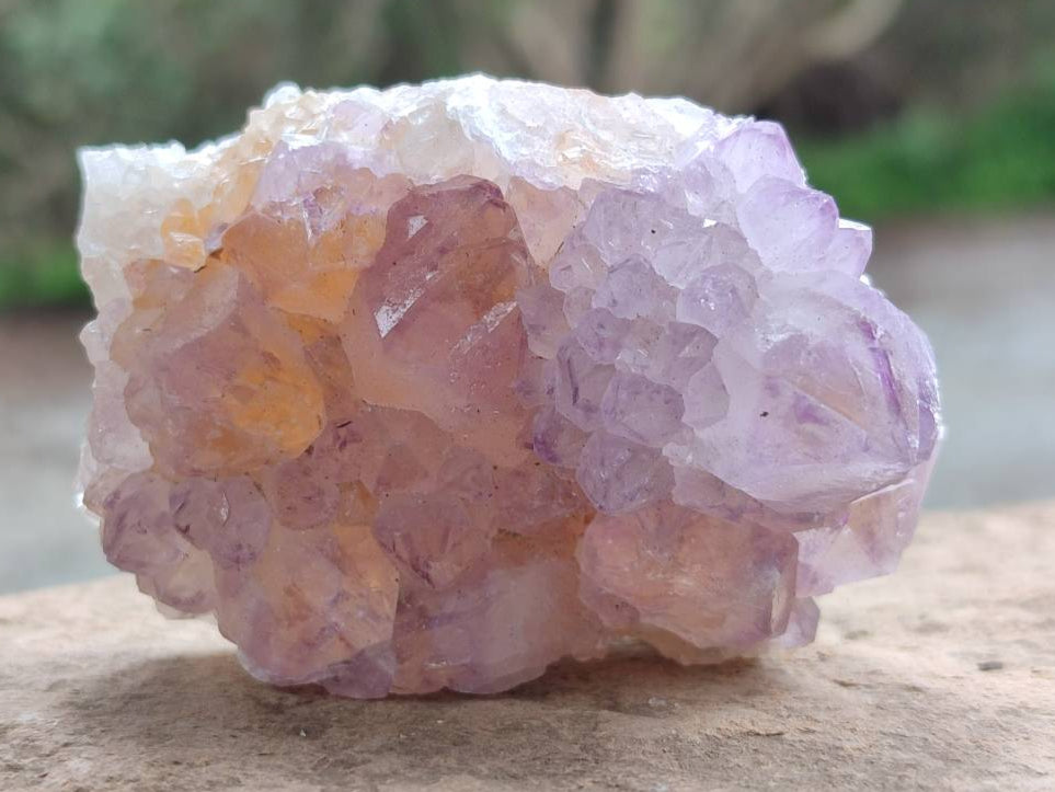 Natural Sunburst Amethyst Spirit Quartz Clusters x 6 From Boekenhouthoek, South Africa - Toprock Gemstones and Minerals 