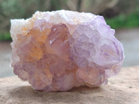 Natural Sunburst Amethyst Spirit Quartz Clusters x 6 From Boekenhouthoek, South Africa