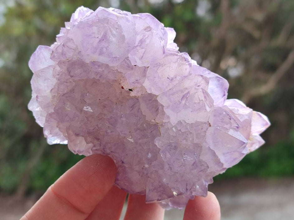 Natural Sunburst Amethyst Spirit Quartz Clusters x 6 From Boekenhouthoek, South Africa - Toprock Gemstones and Minerals 