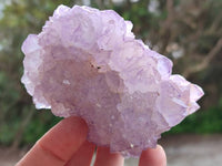 Natural Sunburst Amethyst Spirit Quartz Clusters x 6 From Boekenhouthoek, South Africa